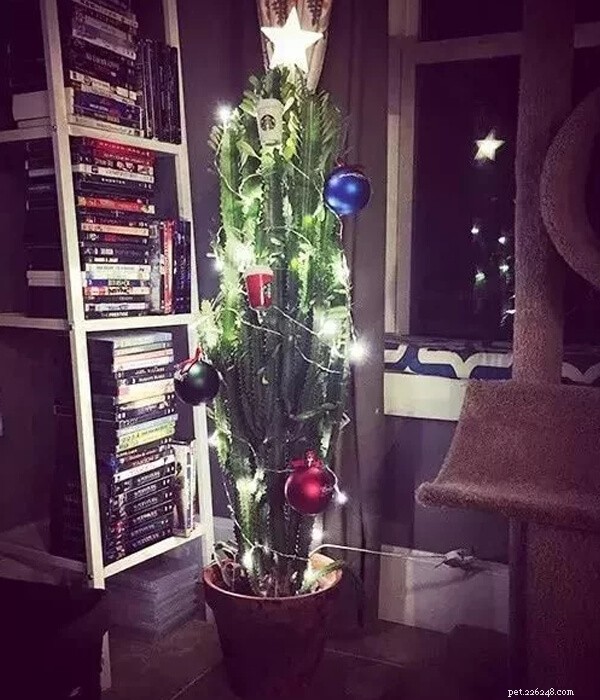 LOL!!Как уберечь питомца от рождественской елки?-QQPETS