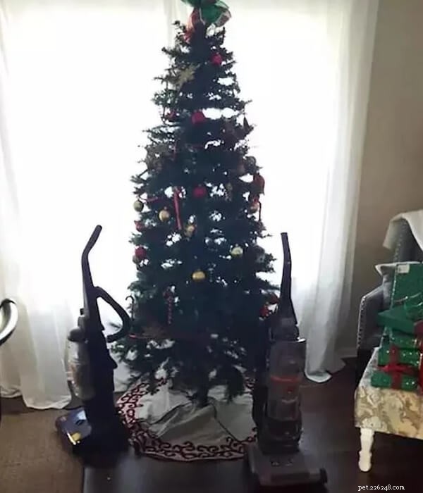 LOL!!Как уберечь питомца от рождественской елки?-QQPETS