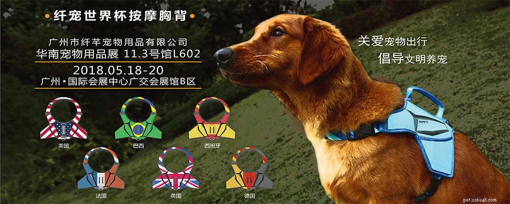 Nieuws:Pet Fair Zuid-China 2018 komt eraan – QQPETS