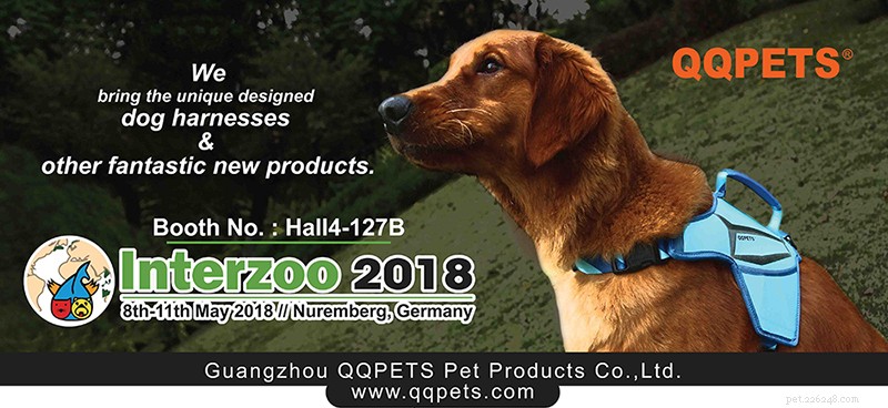 Interzoo2018でのワールドカップ犬用マッサージハーネスショー-QQPETS