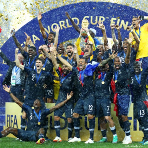 La Francia è diventata campione del mondo per la seconda volta-QQPETS