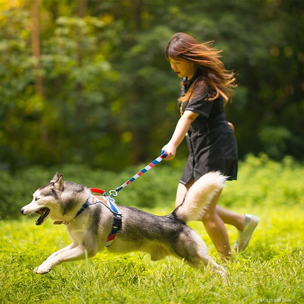Waarschuwing:jog niet met uw hond tijdens warm weer