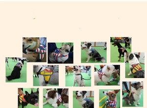 子供を怖がらせるために犬用リードを使用しない犬 