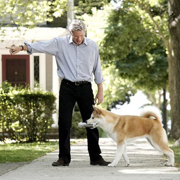 En imponerande hundsaga mellan en lojal hund och en professor – QQPETS
