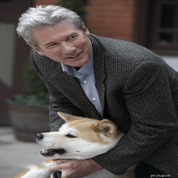 En imponerande hundsaga mellan en lojal hund och en professor – QQPETS
