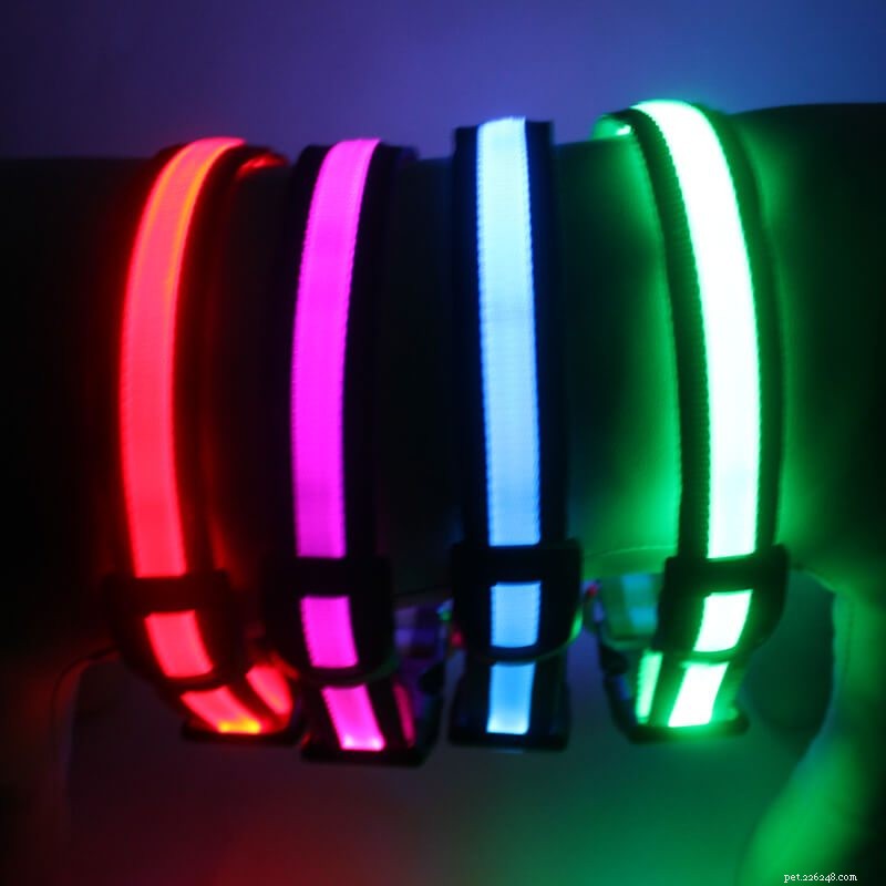 10 anledningar till att du bör köpa de nyaste LED-halsbanden för hundar eller hundhalsband med LED-spänne!