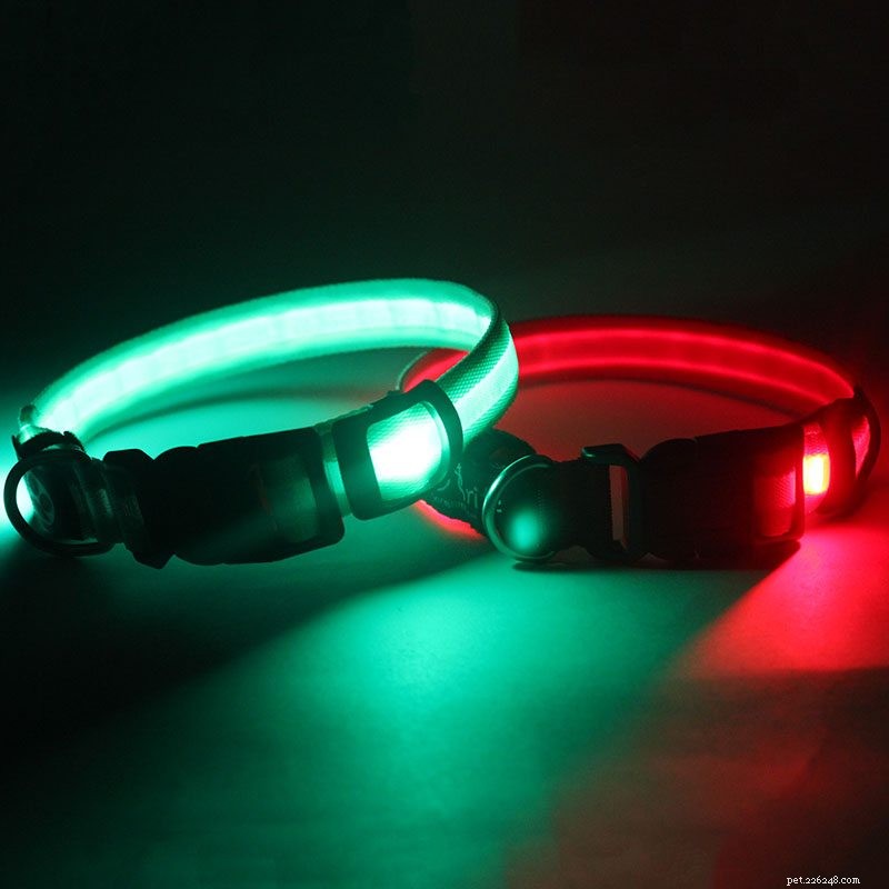 10 redenen waarom je de nieuwste LED-halsbanden of LED-halsbanden met gesp moet kopen!