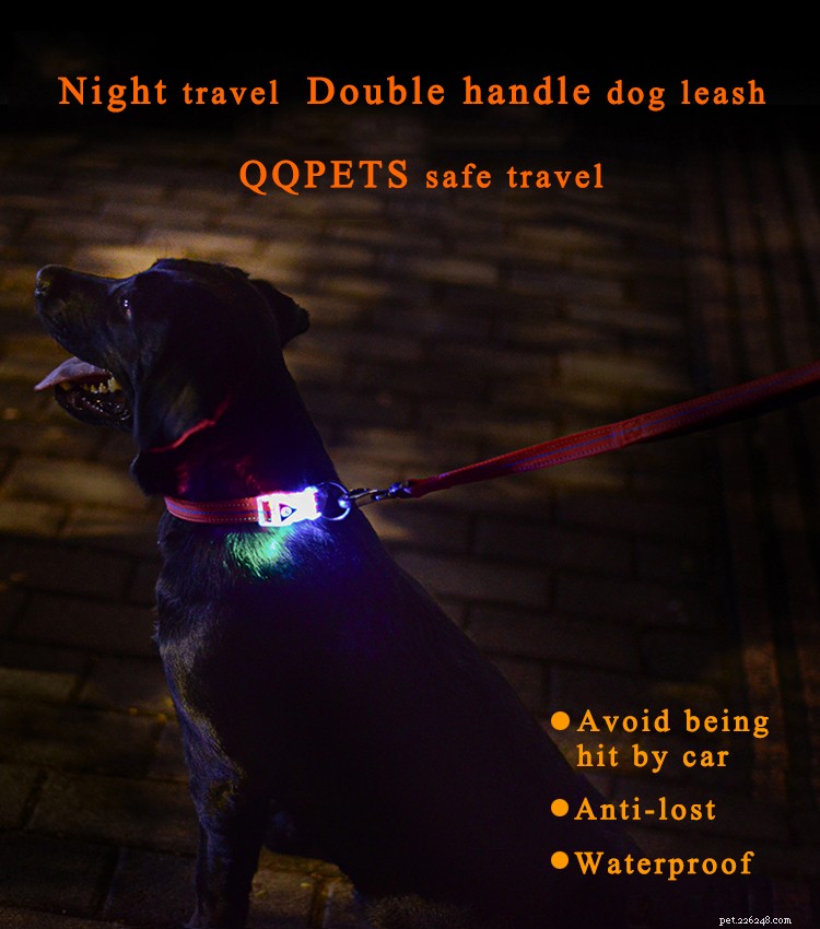 LED 버클 개 목걸이:야간 산책 애완 동물 마술 장치는 당신과 당신의 개가 밤에 걸을 수 있도록 도와줍니다! 