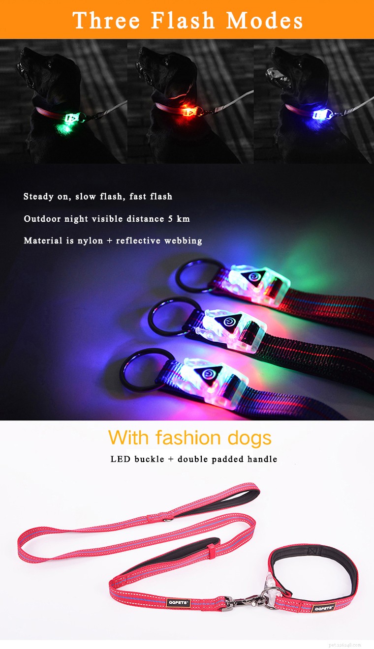 LED 버클 개 목걸이:야간 산책 애완 동물 마술 장치는 당신과 당신의 개가 밤에 걸을 수 있도록 도와줍니다! 