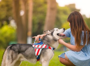 Conhecimento sobre animais de estimação:como saber se um cachorro está cheio ou não?