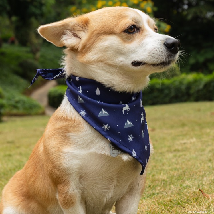 Novos produtos para animais de estimação Coleira de lenço para cães, Bandagem triangular para cães de estimação, Cachecol de bandana para cães de estimação