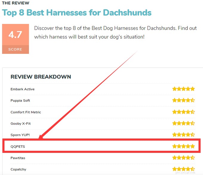 Os 8 melhores arreios para Dachshunds