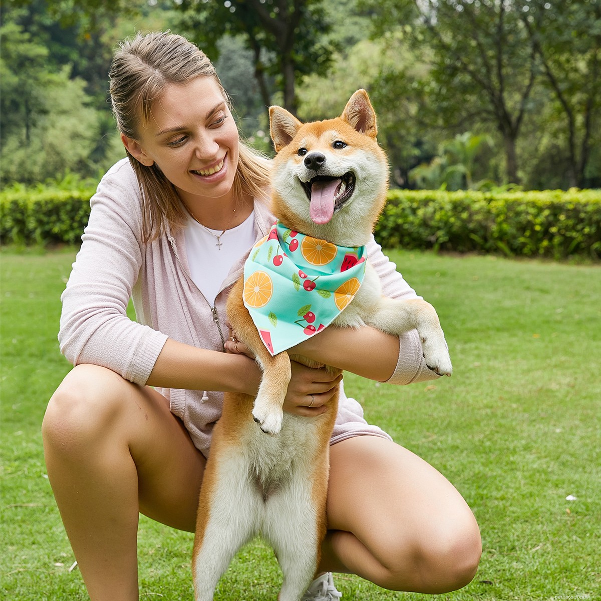 L uso improprio dei collari per cani può causare questi 5 rischi principali