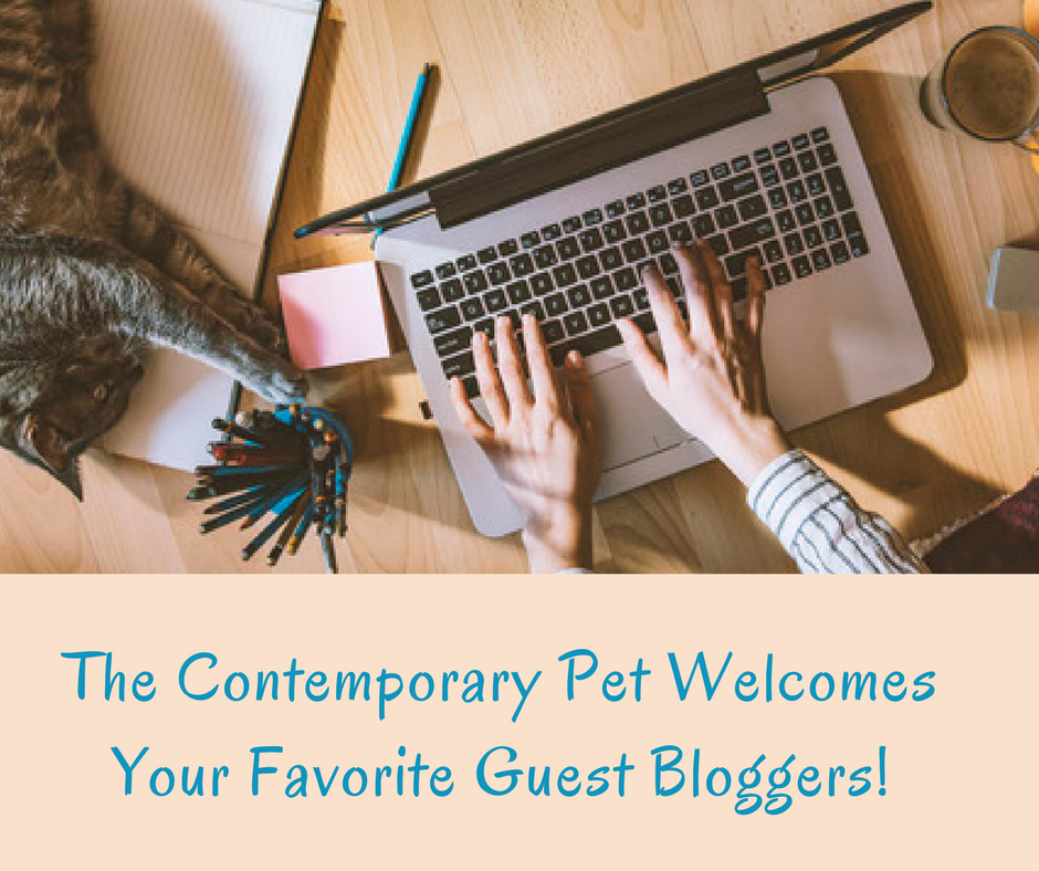 Připravované příspěvky hostů od vašich oblíbených bloggerů s domácími mazlíčky!