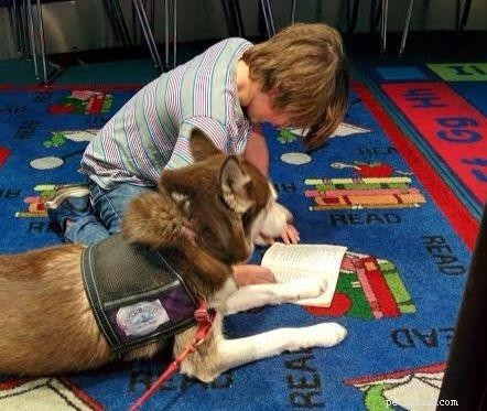 Hur terapihundar hjälper barn