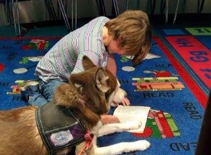 Как собаки-терапевты помогают детям