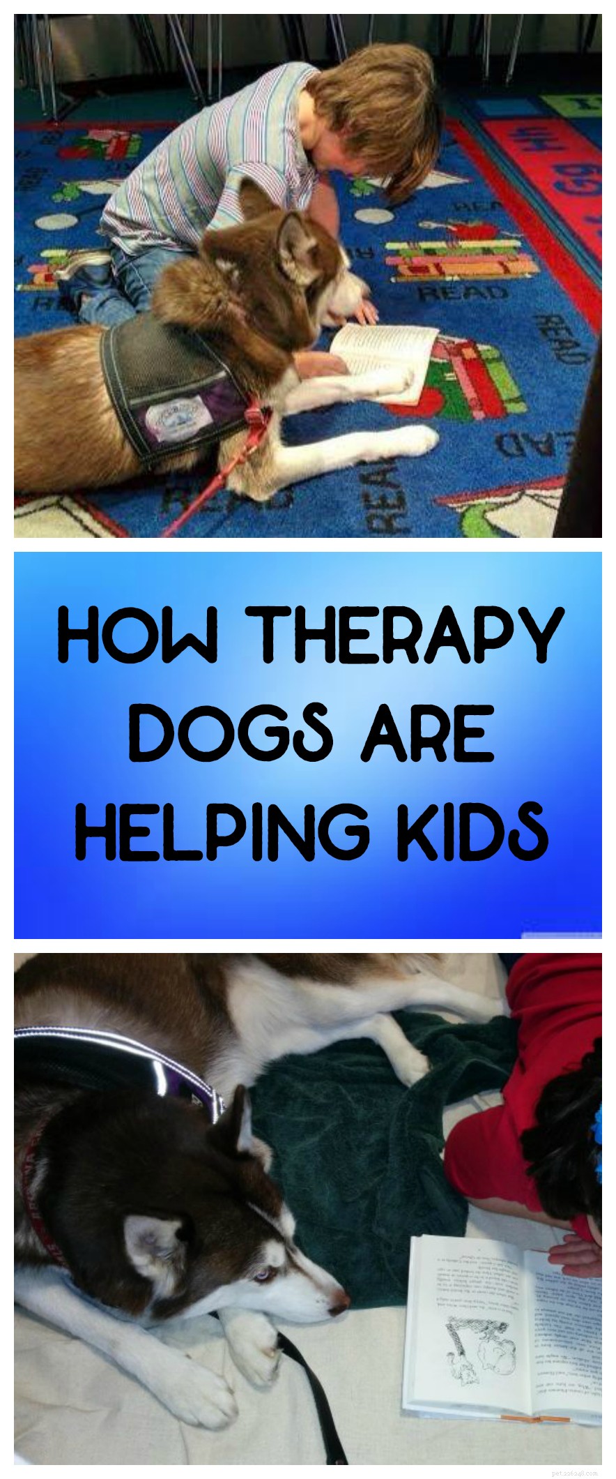 Come i cani da terapia aiutano i bambini