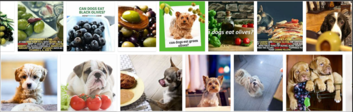 Kan hundar äta oliver? Älskar hundar oliver?
