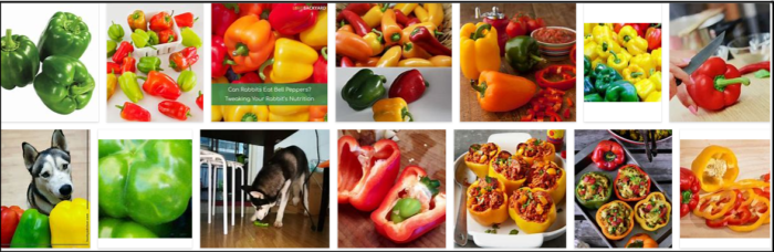 Můžou psi jíst papriku? Až to přečtete, nebudete věřit