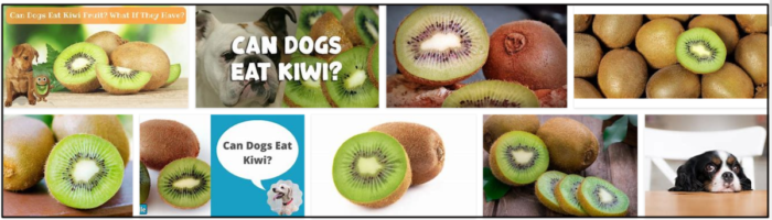 Kan hundar äta kiwi? En säker diet för hundens hälsa
