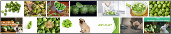 犬は芽キャベツを食べることができますか？私の犬に最適なビタミンとミネラルは何ですか？