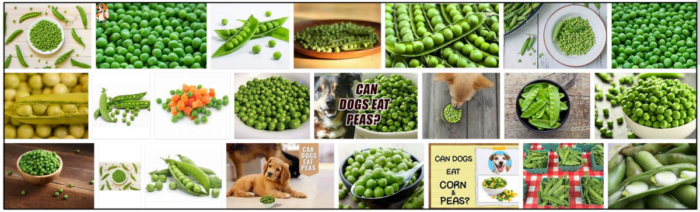 Os cães podem comer ervilhas? Cachorros gostam de comer ervilhas?