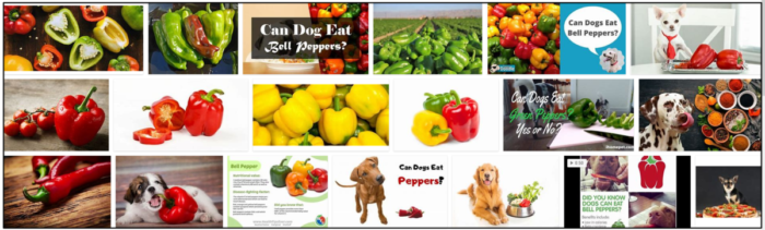 Kunnen honden paprika eten? Zijn paprika s veilig voor honden?