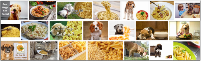 Kunnen honden pasta eten? Geef je je hond echt pasta?