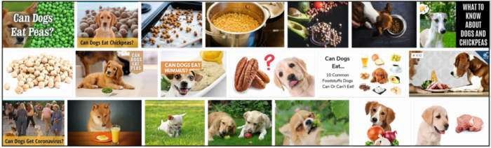 I cani possono mangiare i ceci? Non crederai quando leggi
