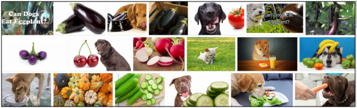 Kunnen honden aubergine eten? Alles wat u moet weten over aubergine