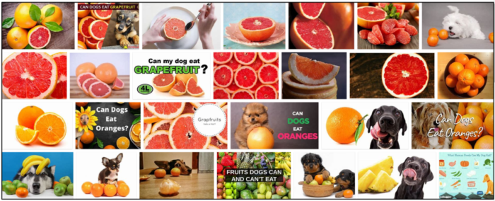 Могут ли собаки есть грейпфрут? Клинический анализ Citrus