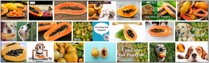 Kan hundar äta papaya? Den otroliga sanningen om papaya
