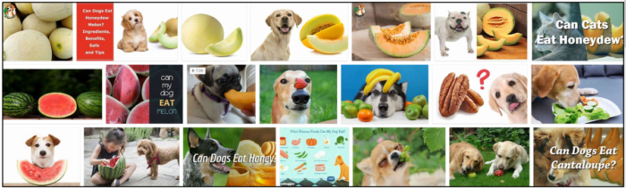 Os cães podem comer melada? Os cães gostam de melada?