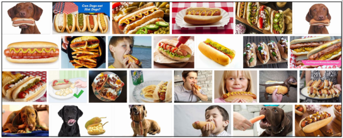 Cães podem comer cachorros-quentes? Petiscos para cachorro-quente e nutrição para cães