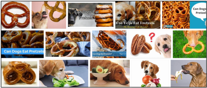 I cani possono mangiare i pretzel? Scopri tutto sui pretzel