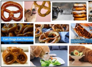 Os cães podem comer pretzels? Descubra tudo sobre pretzels