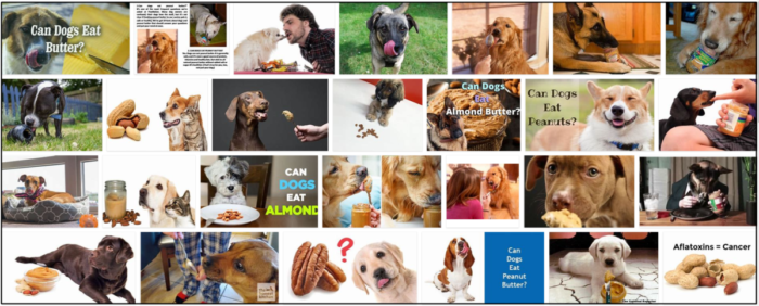 I cani possono mangiare il burro? Tutto quello che c è da sapere sulla salute dei cani