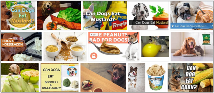 Kunnen honden mosterd eten? Ontdek of uw hond het leuk vindt!