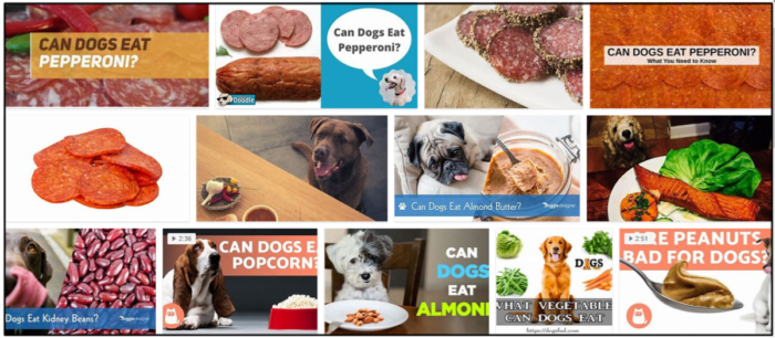 I cani possono mangiare i peperoni? Pepperoni è sicuro per il tuo cane