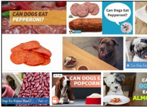 Os cães podem comer pepperoni? O Pepperoni é seguro para o seu cão