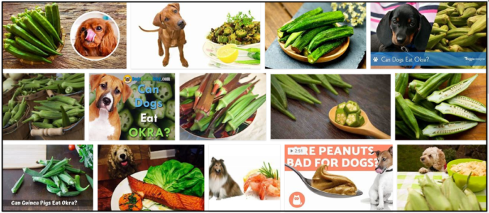 Můžou psi jíst Okra? Dogs Even Like Okra
