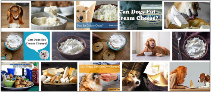 Os cães podem comer cream cheese? Aprenda a inacreditável verdade sobre laticínios