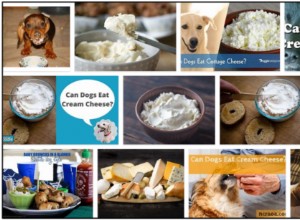 Les chiens peuvent-ils manger du fromage à la crème ? Découvrez l incroyable vérité sur les produits laitiers