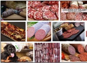 Os cães podem comer salame? Evite dar carne processada ao seu cachorro