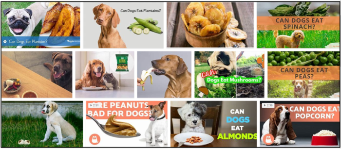 Kunnen honden bakbananen eten? Leer alle voordelen van bakbananen