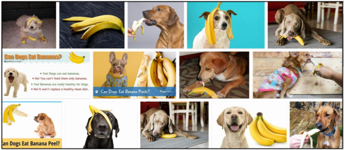 개가 바나나 껍질을 먹을 수 있습니까? 좋든 싫든