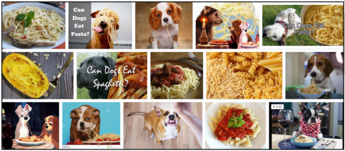 개가 스파게티를 먹을 수 있습니까? 반려견에게 선물해야 할까요