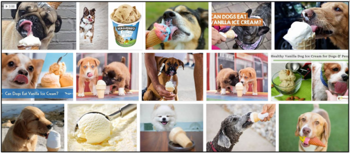 개는 바닐라 아이스크림을 먹을 수 있습니까? 반려견 친구들에게 주어야 할까요?