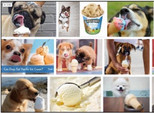 개는 바닐라 아이스크림을 먹을 수 있습니까? 반려견 친구들에게 주어야 할까요?