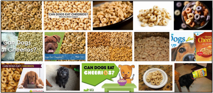 Můžou psi jíst Cheerios? Je to toxické pro vaše psí přátele